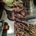 Fried locusts on a stick