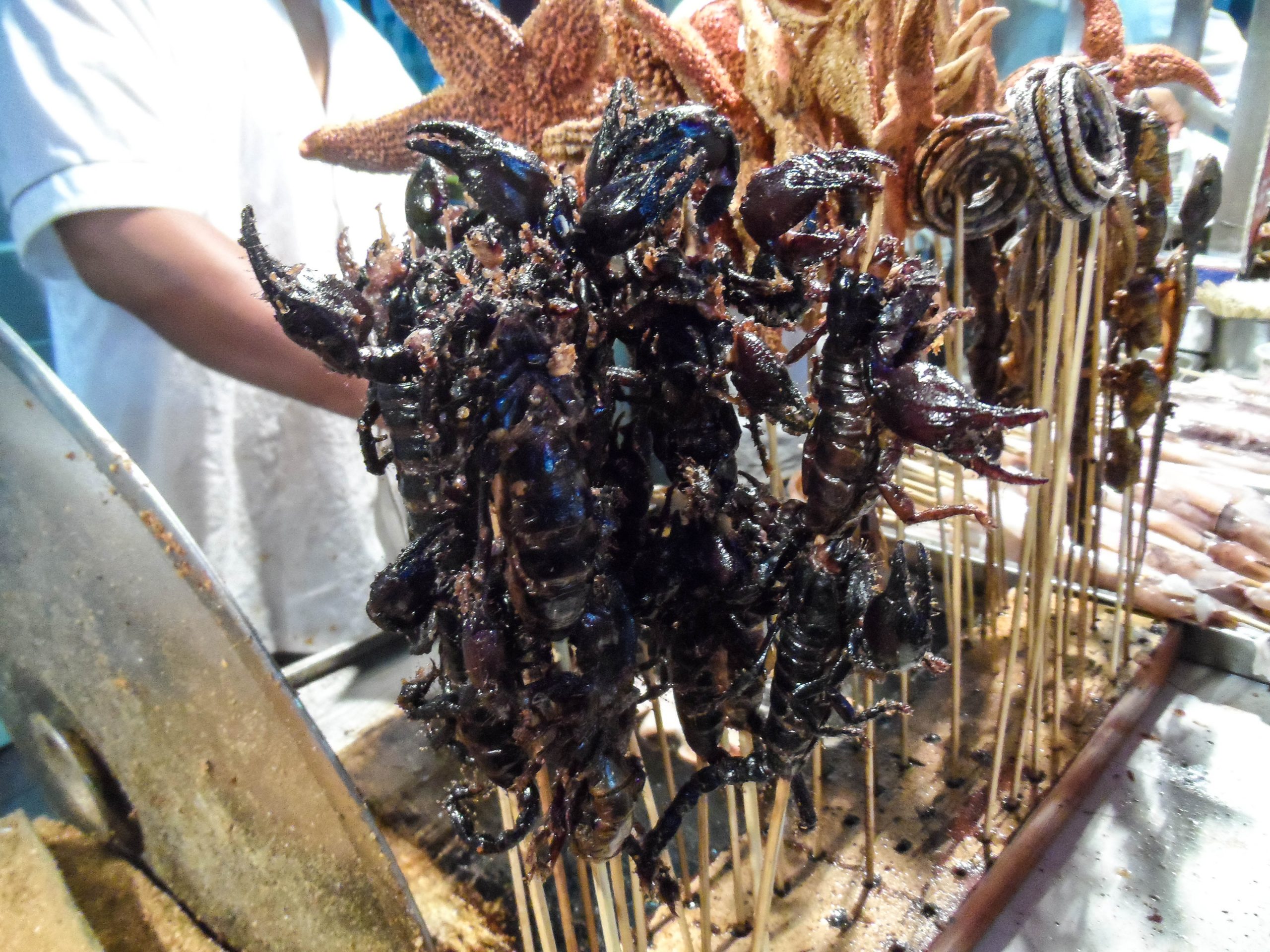 Scorpion street snack  on 王府井