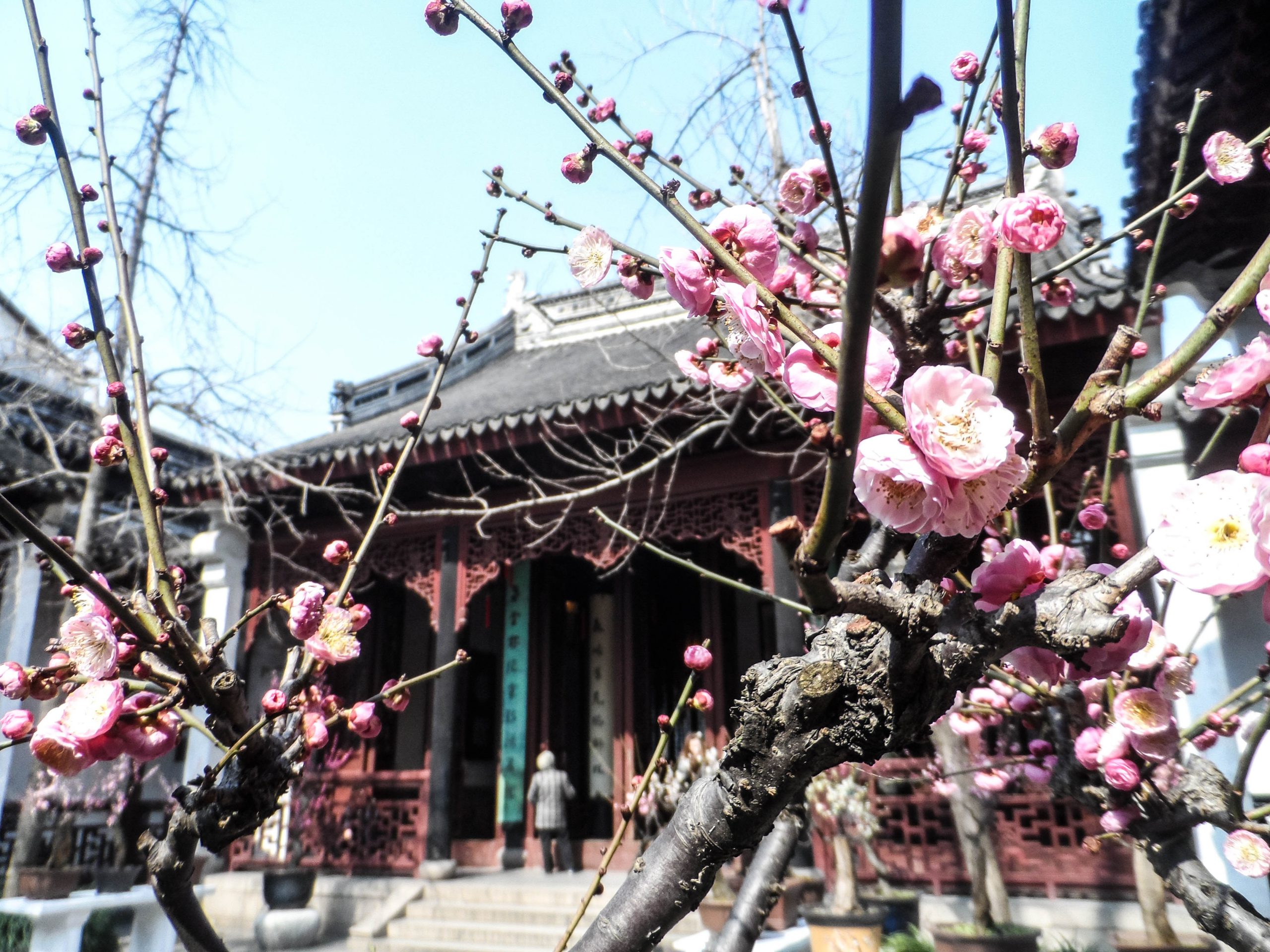 Suzhou garden